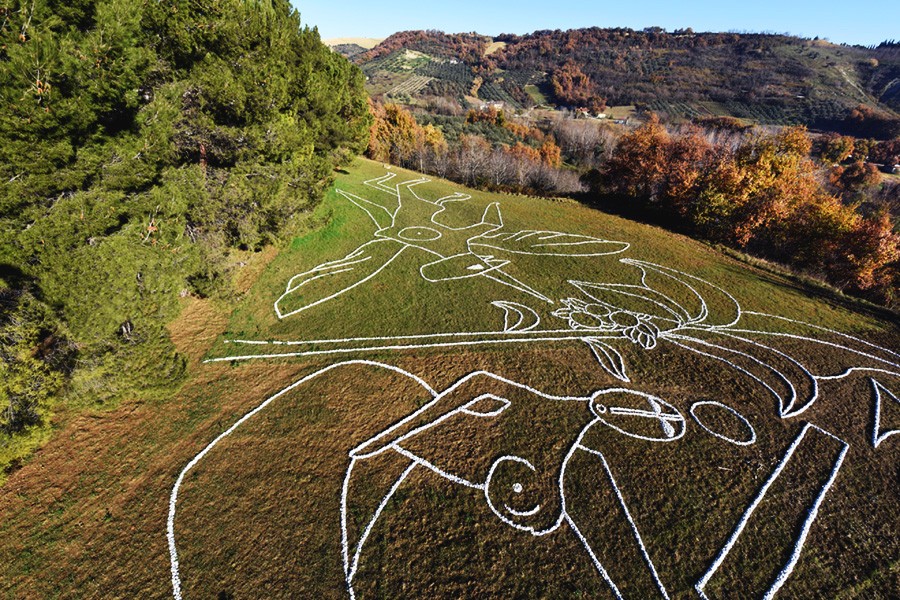 Friedman drawing with stones in No Man's Land